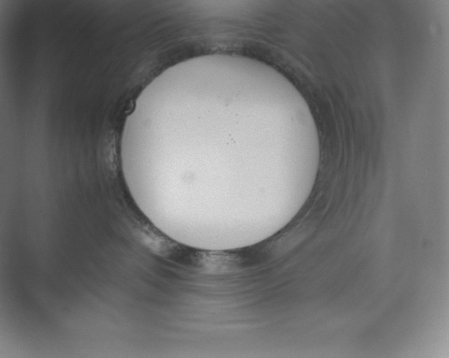 X0000074930336200609221645