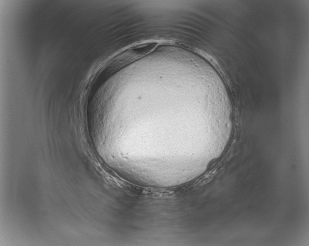 X0000074930337200609221644