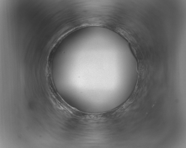 X0000074930338200609221644