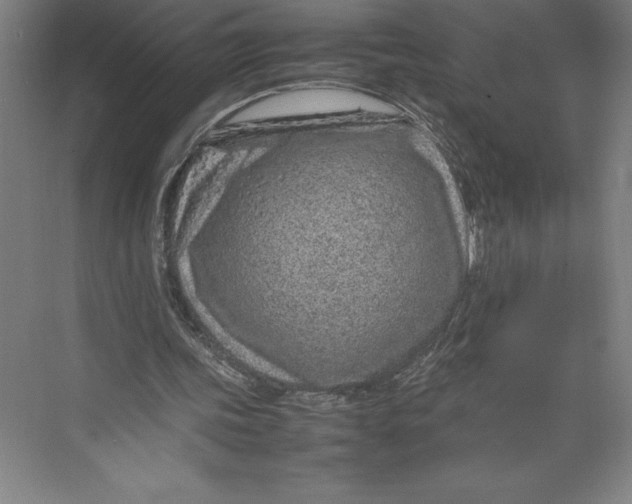 X0000074930339200609221644