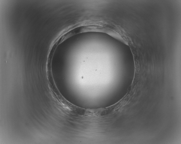 X0000074930340200609221645