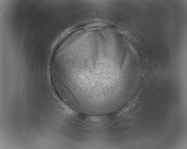 X0000074930341200609221645