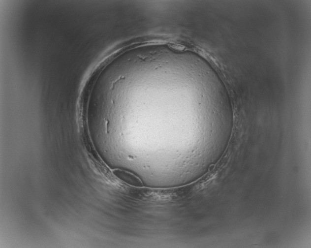 X0000074930343200609221645