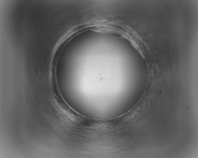 X0000074930344200609221645