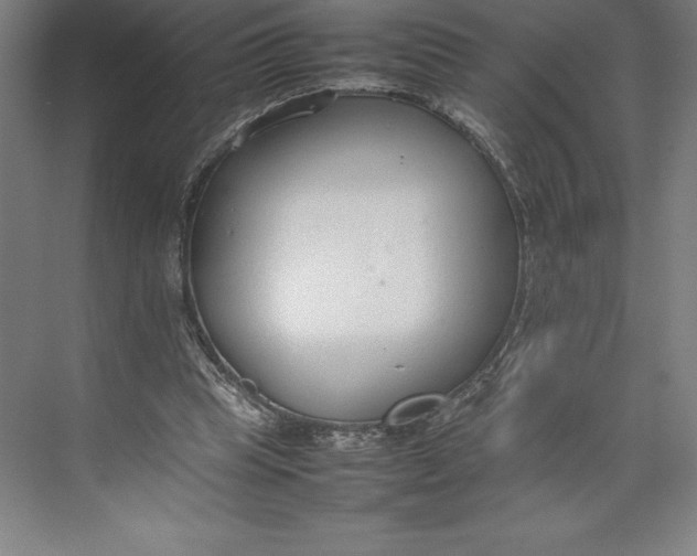 X0000074930345200609221645