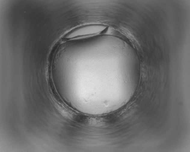 X0000074930346200609221645