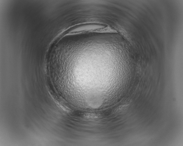 X0000074930347200609221645