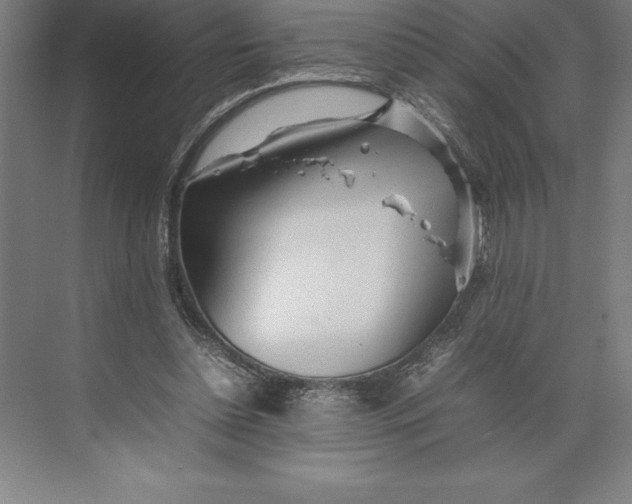 X0000074930348200609221645