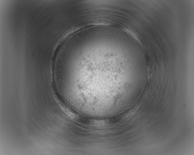 X0000074930349200609221645