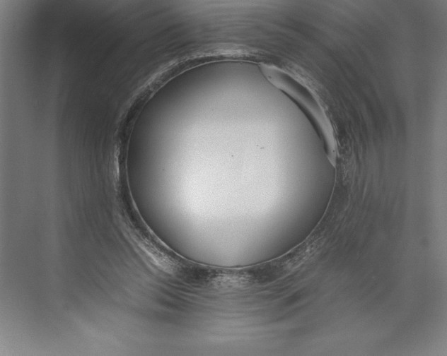 X0000074930350200609221645