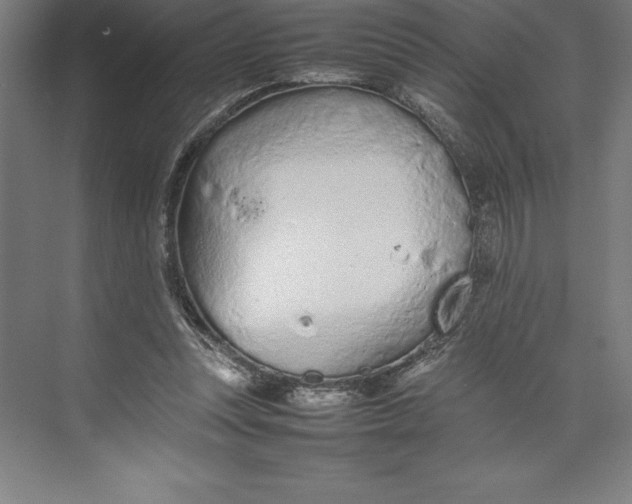 X0000074930351200609221645