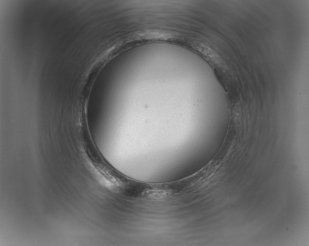 X0000074930352200609221645