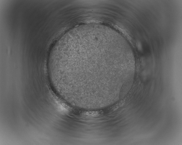 X0000074930353200609221645