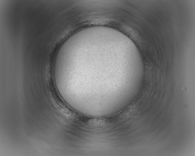 X0000074930354200609221645