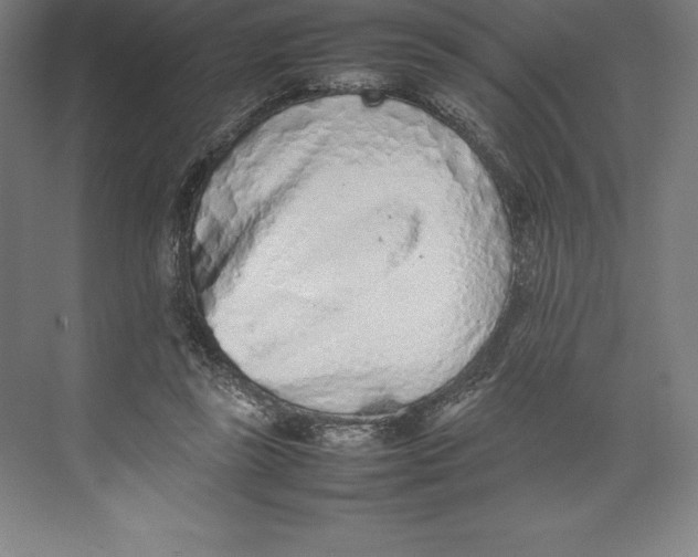 X0000074930355200609221645