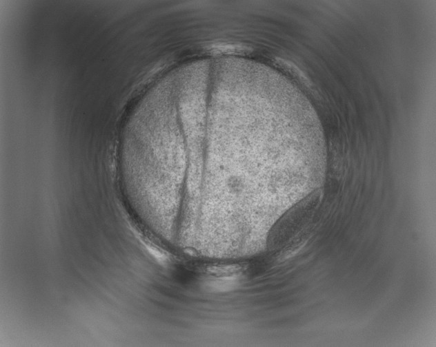 X0000074930357200609221645