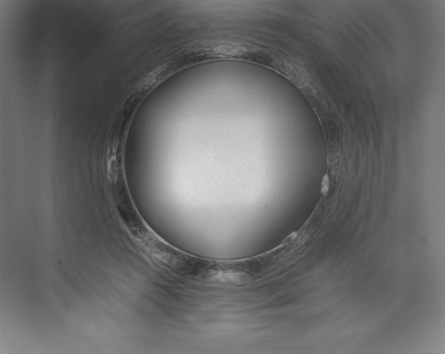 X0000074930360200609221645