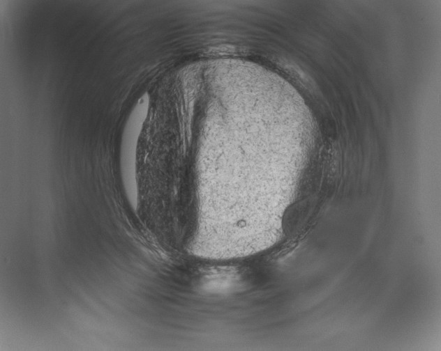 X0000074930361200609221645