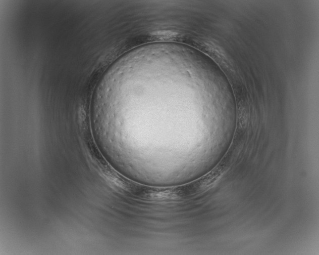 X0000074930365200609221645