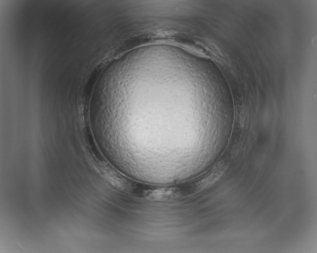 X0000074930366200609221645