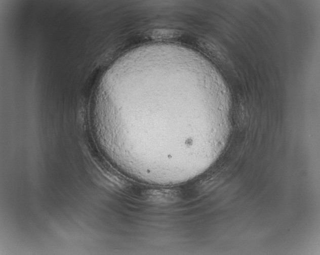 X0000074930367200609221645