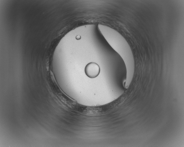 X0000074930368200609221645