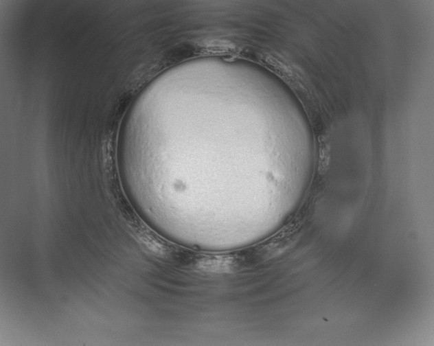 X0000074930369200609221645