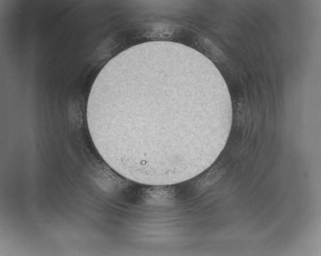 X0000074930370200609221645