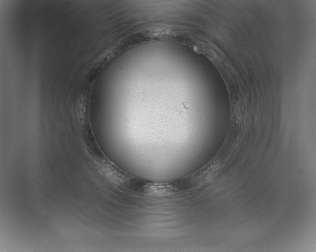 X0000074930372200609221645