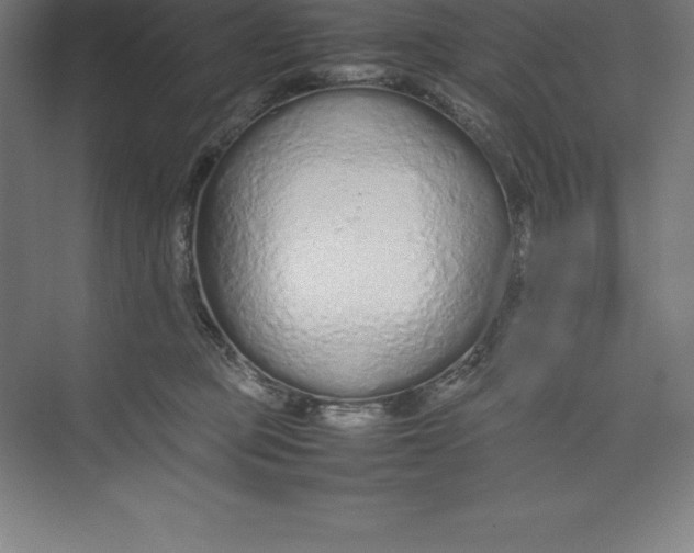 X0000074930373200609221645