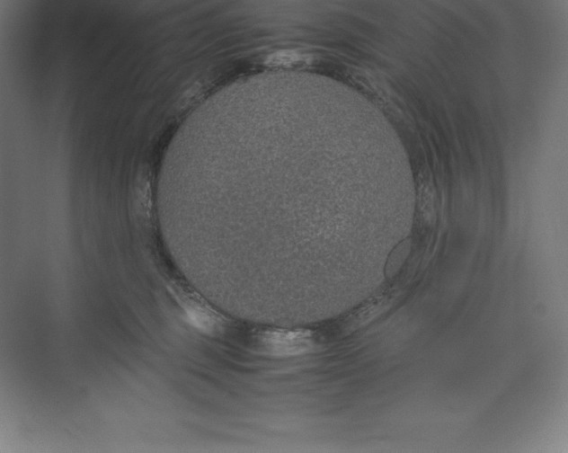 X0000074930375200609221645