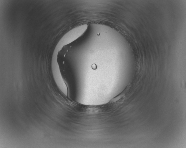 X0000074930376200609221645