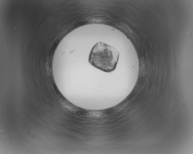 X0000074930377200609221645