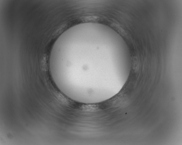 X0000074930378200609221645