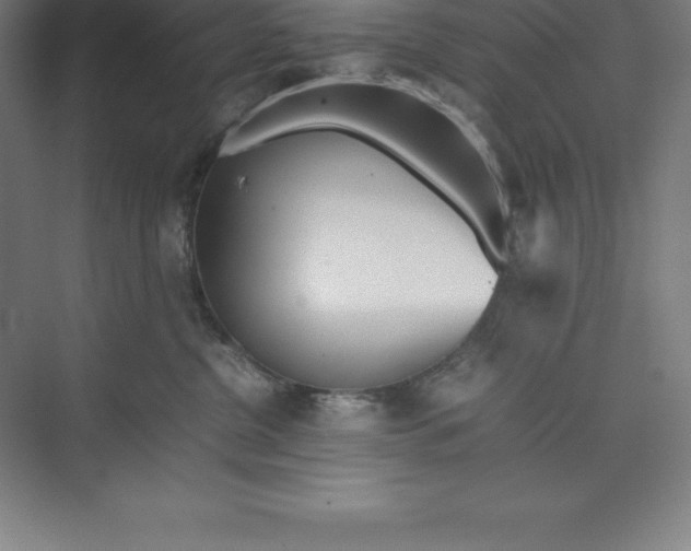 X0000074930380200609221645