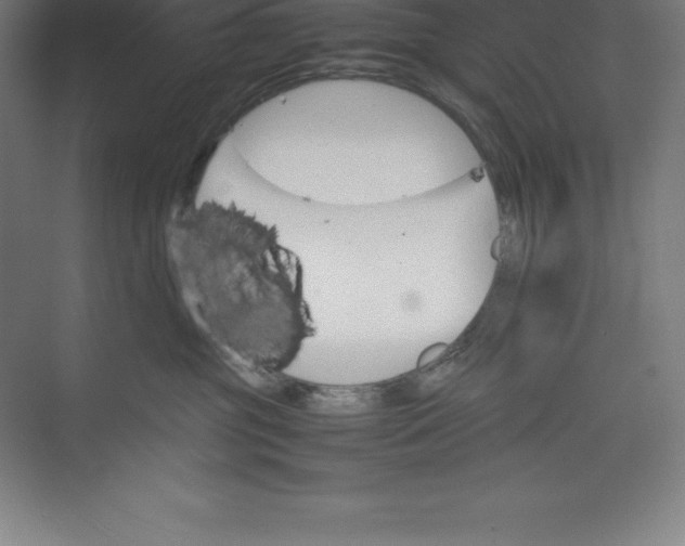 X0000074930381200609221645