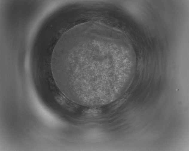 X0000074930383200609221645