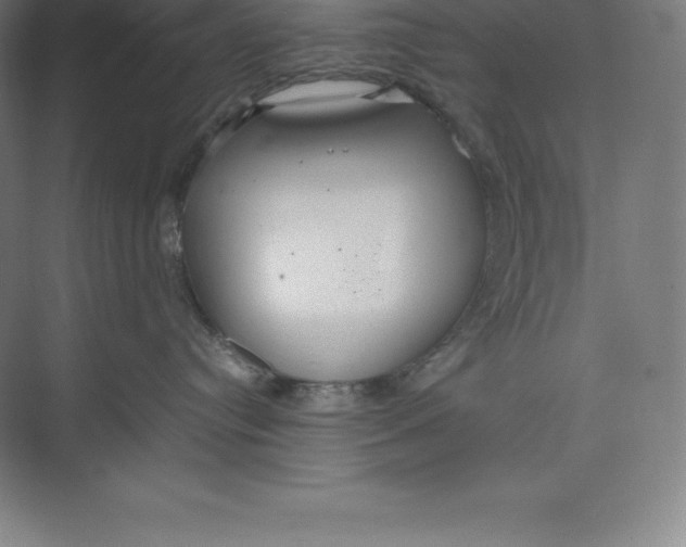 X0000074930384200609221645