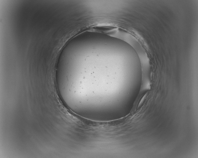 X0000074930385200609221644