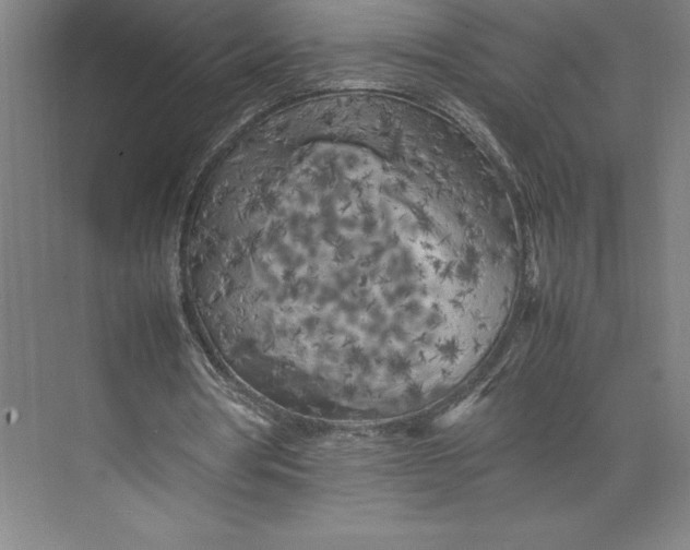 X0000074930386200609221644