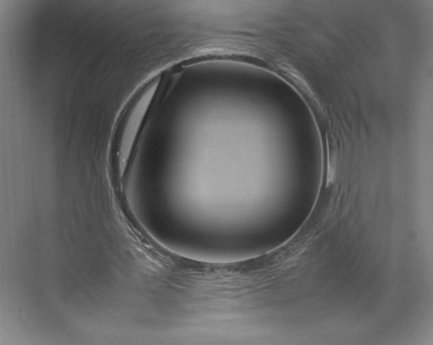 X0000074930387200609221644