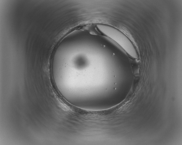 X0000074930389200609221644