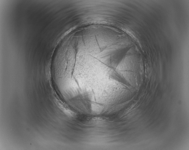 X0000074930390200609221644