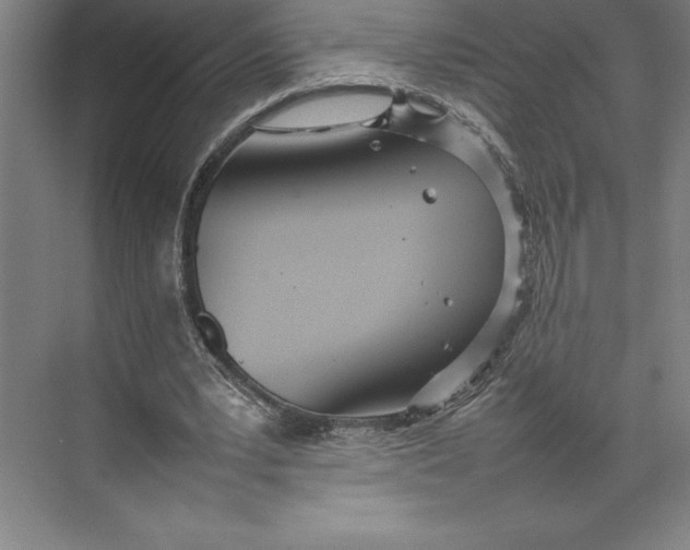 X0000074930391200609221644