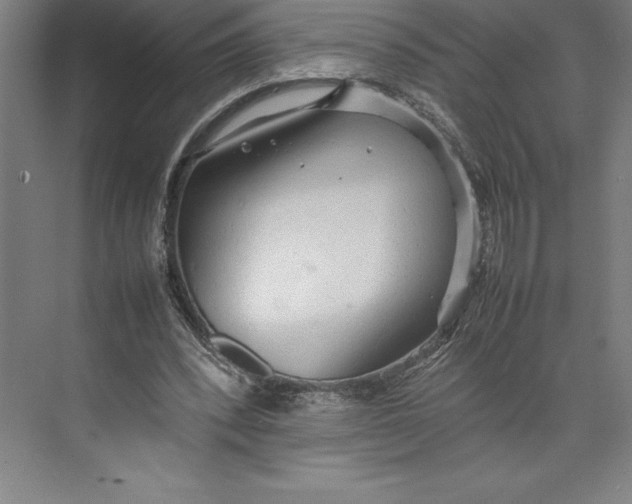 X0000074930392200609221644