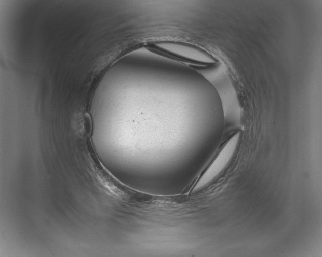 X0000074930393200609221644