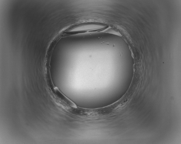 X0000074930395200609221644