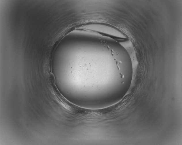 X0000074930397200609221644