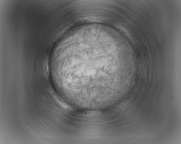 X0000074930398200609221644