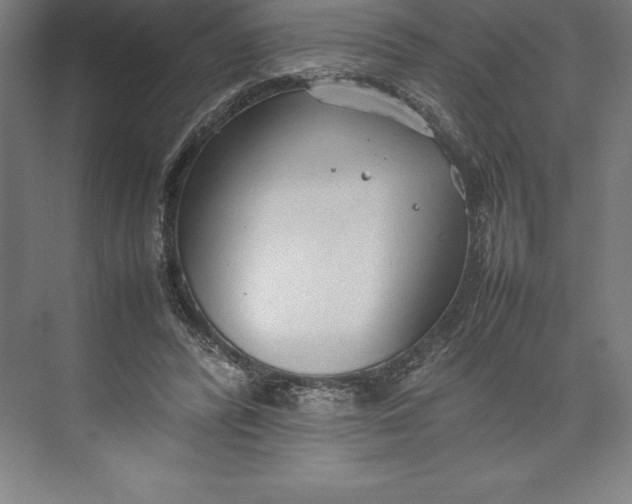 X0000074930400200609221644